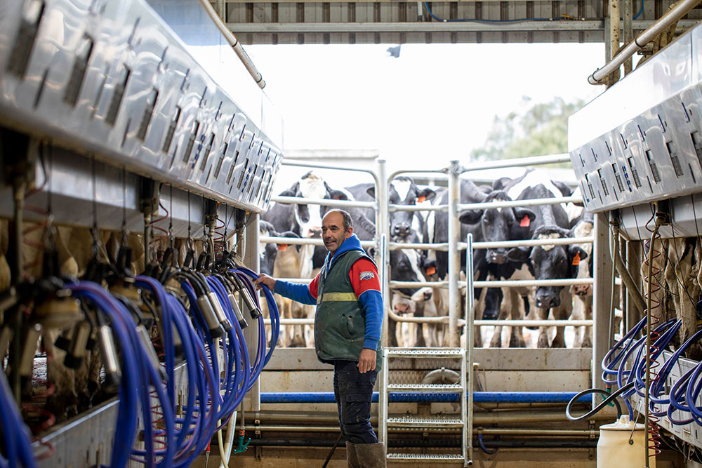 Geoff's-Dairy