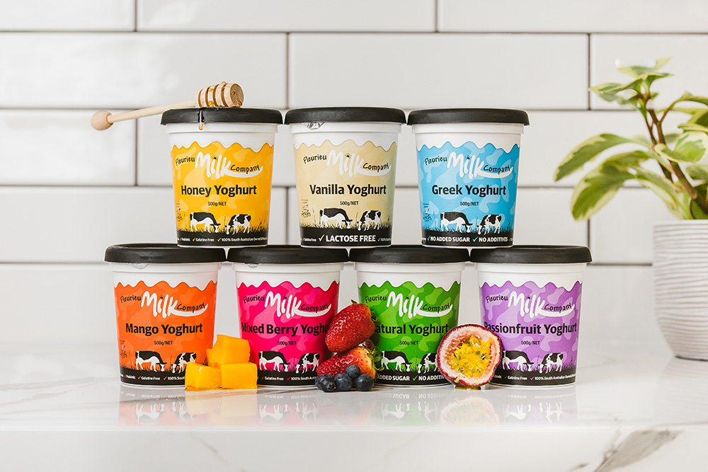 500g Yoghurts