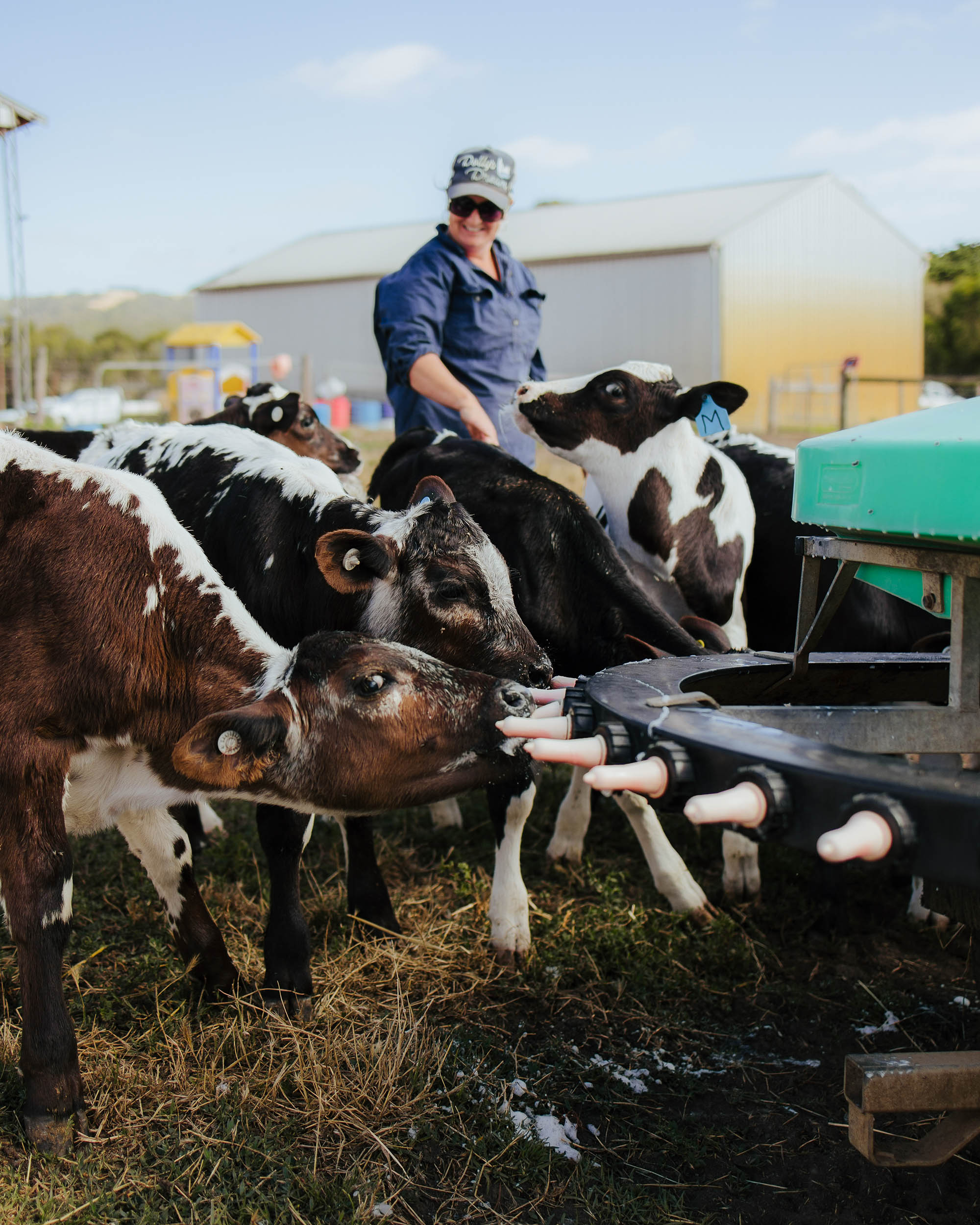 Munbilla Dairy